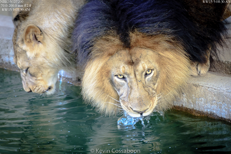 Smithsonian National Zoo