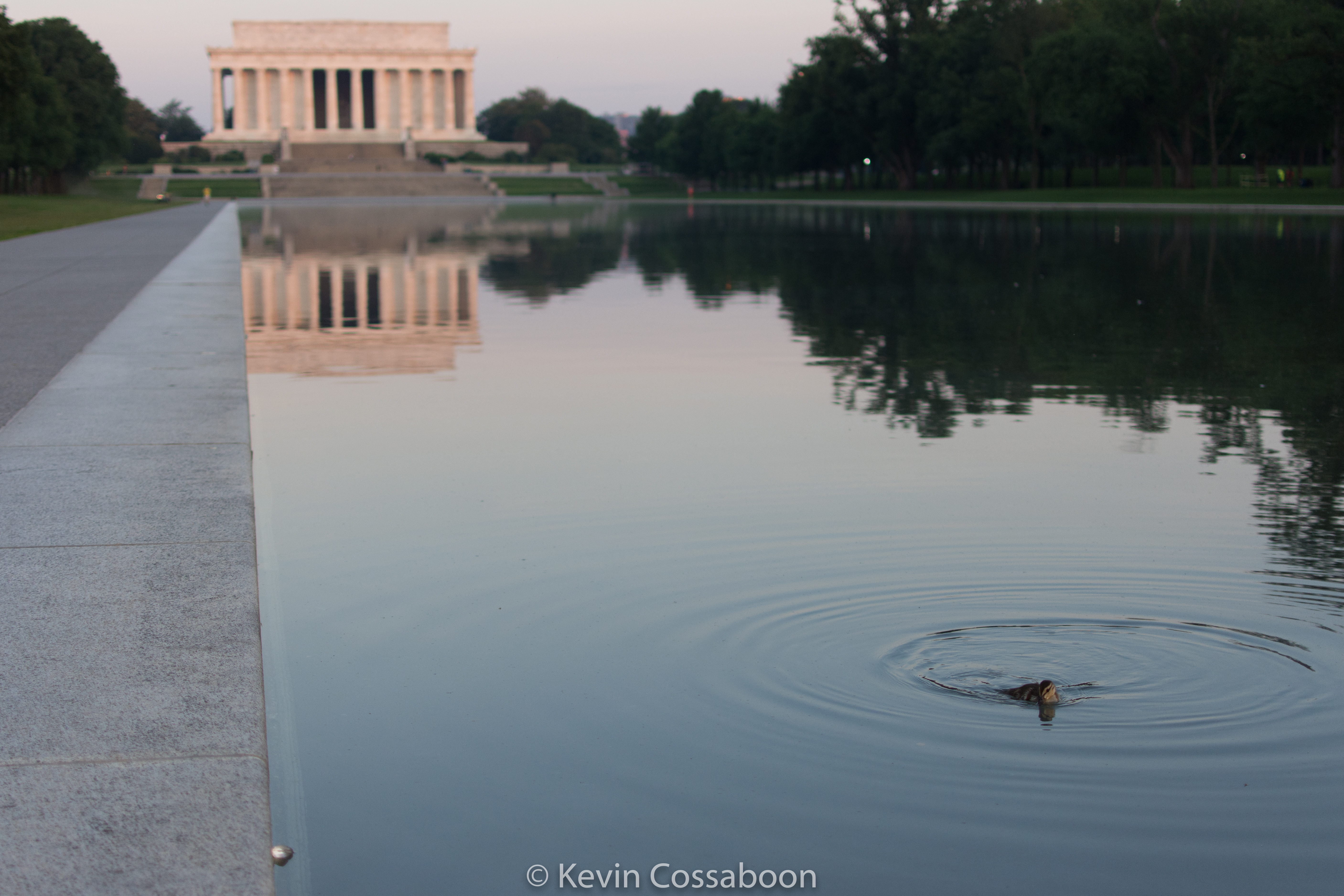 Morning Walk in Washington DC