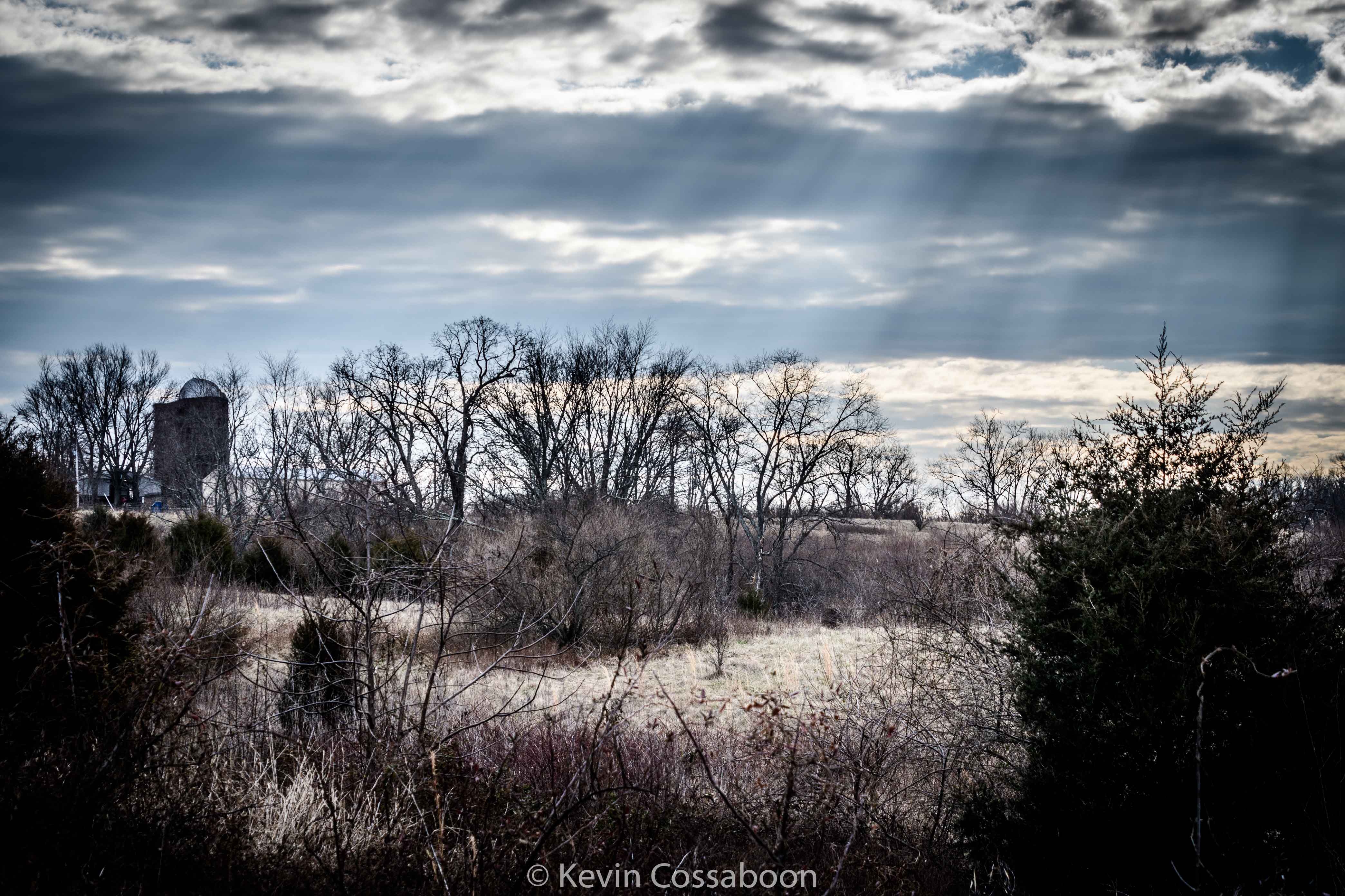 Walk around Banshee Park in Leesburg VA