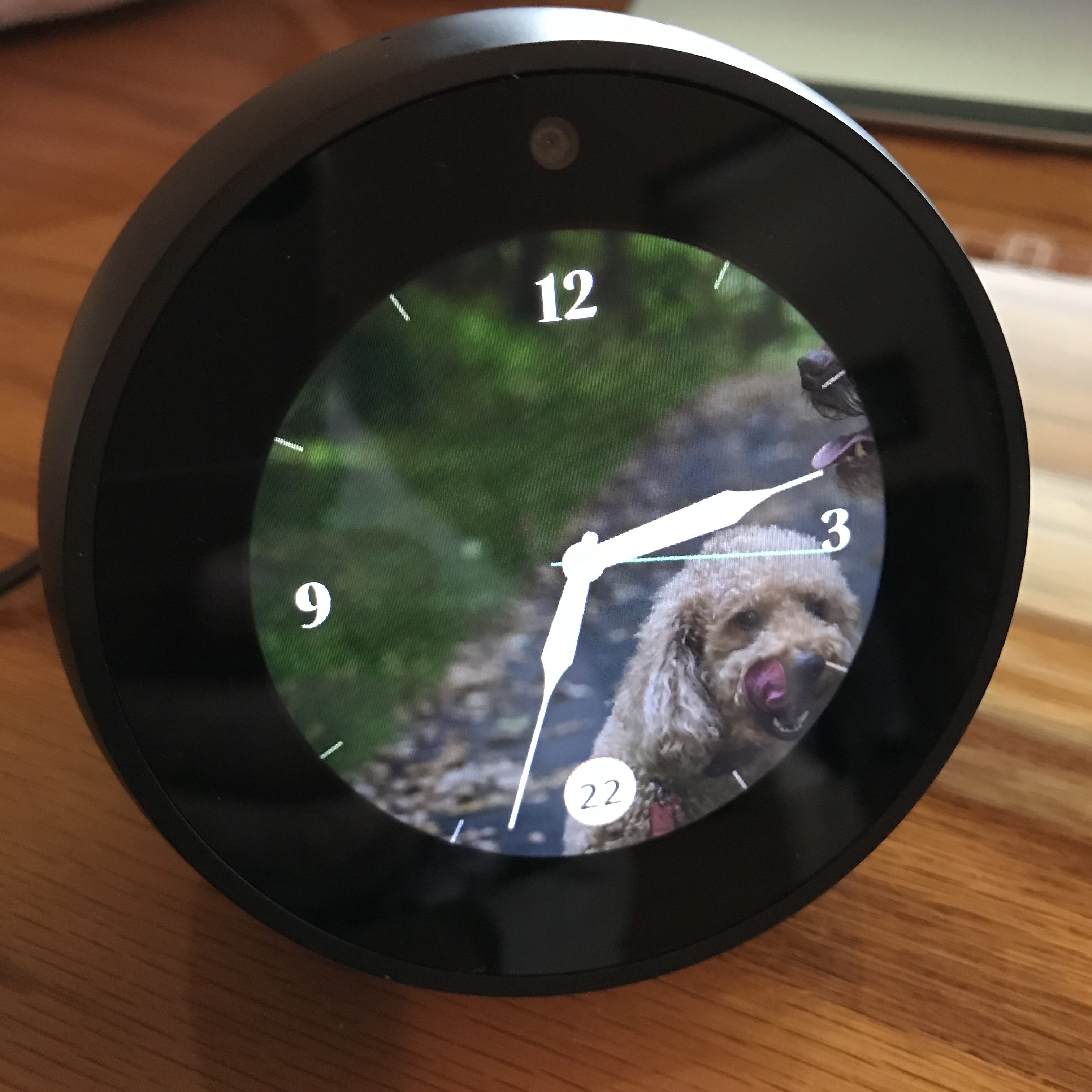 The Echo Spot, the not Alarm Clock