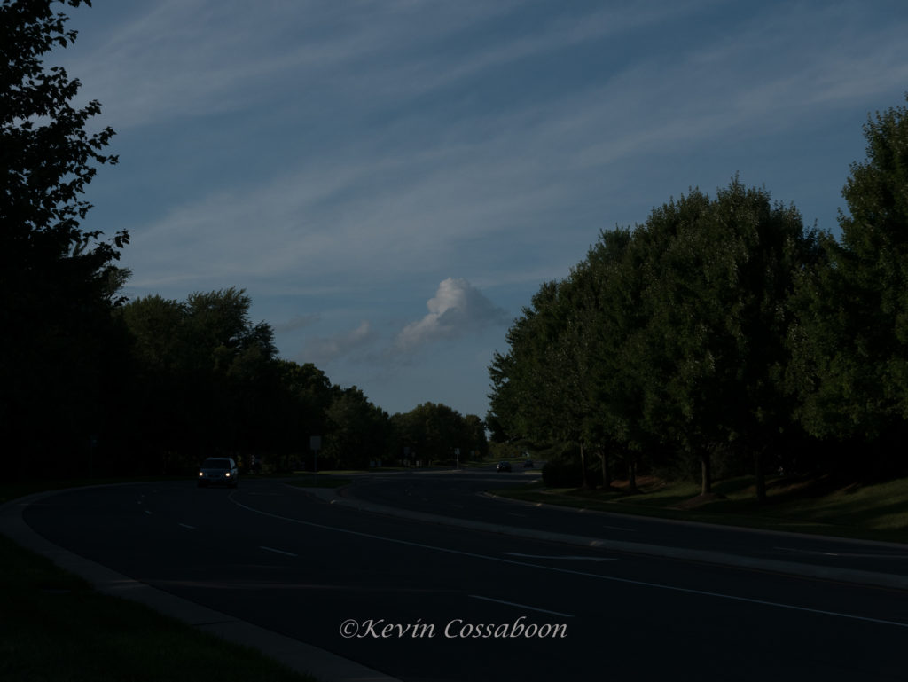 Evening Walk July 28, 2018