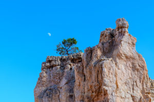Bryce Canyon Navajo Loop