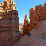 Bryce Canyon Navajo Loop