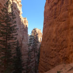 Bryce Canyon Navajo Loop