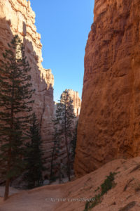 Bryce Canyon Navajo Loop