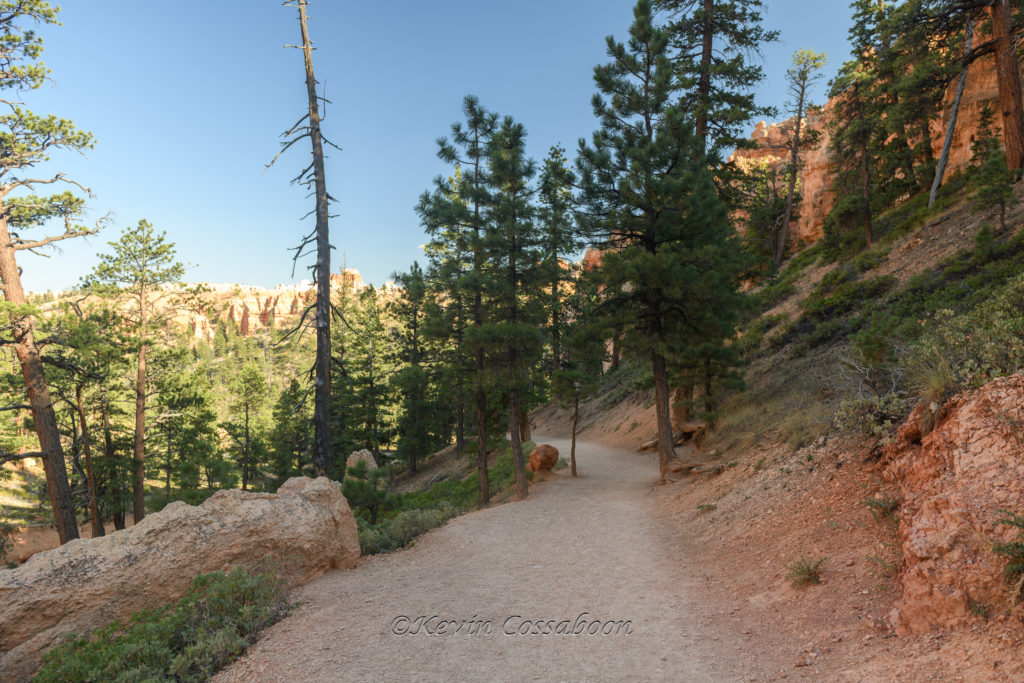 Bryce Canyon / Peekaboo Canyon Trail