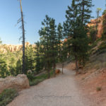 Bryce Canyon / Peekaboo Canyon Trail