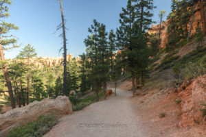 Bryce Canyon / Peekaboo Canyon Trail