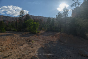 Bryce Canyon / Peekaboo Canyon Trail