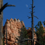 Bryce Canyon / Peekaboo Canyon Trail