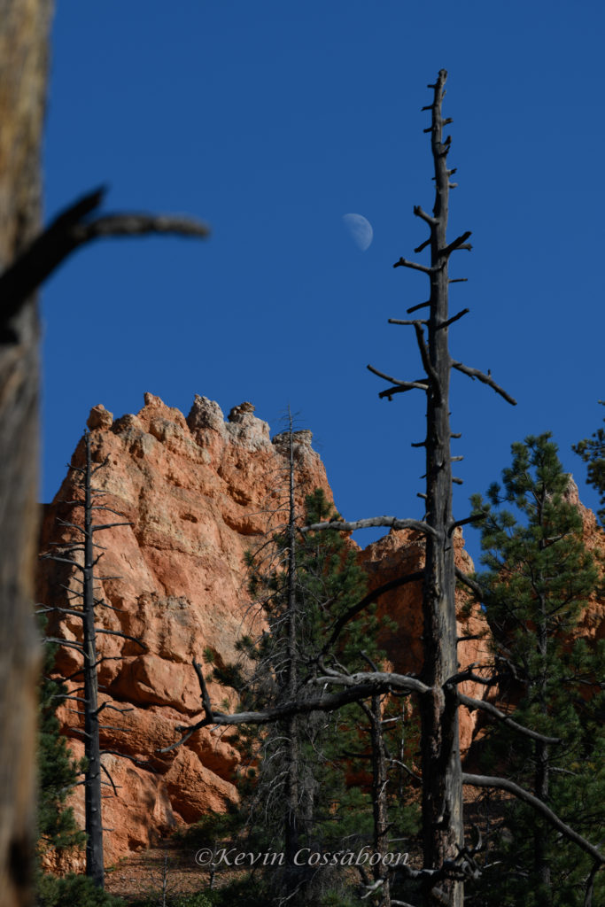 Bryce Canyon / Peekaboo Canyon Trail