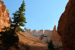 Bryce Canyon / Peekaboo Canyon Trail