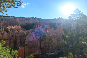 Bryce Canyon / Peekaboo Canyon Trail