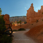 Bryce Canyon / Peekaboo Canyon Trail