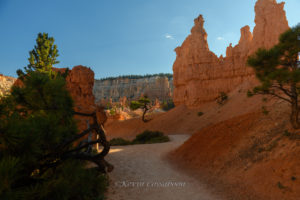 Bryce Canyon / Peekaboo Canyon Trail