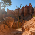 Bryce Canyon / Peekaboo Canyon Trail