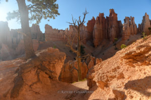 Bryce Canyon / Peekaboo Canyon Trail