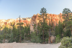 Bryce Canyon / Peekaboo Canyon Trail