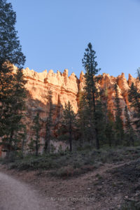 Bryce Canyon / Peekaboo Canyon Trail