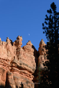 Bryce Canyon / Peekaboo Canyon Trail