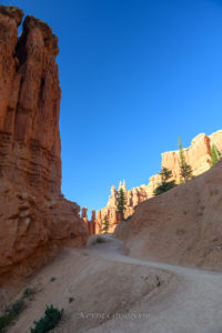Bryce Canyon / Peekaboo Canyon Trail