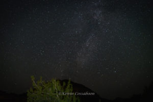Slot Canyon Inn