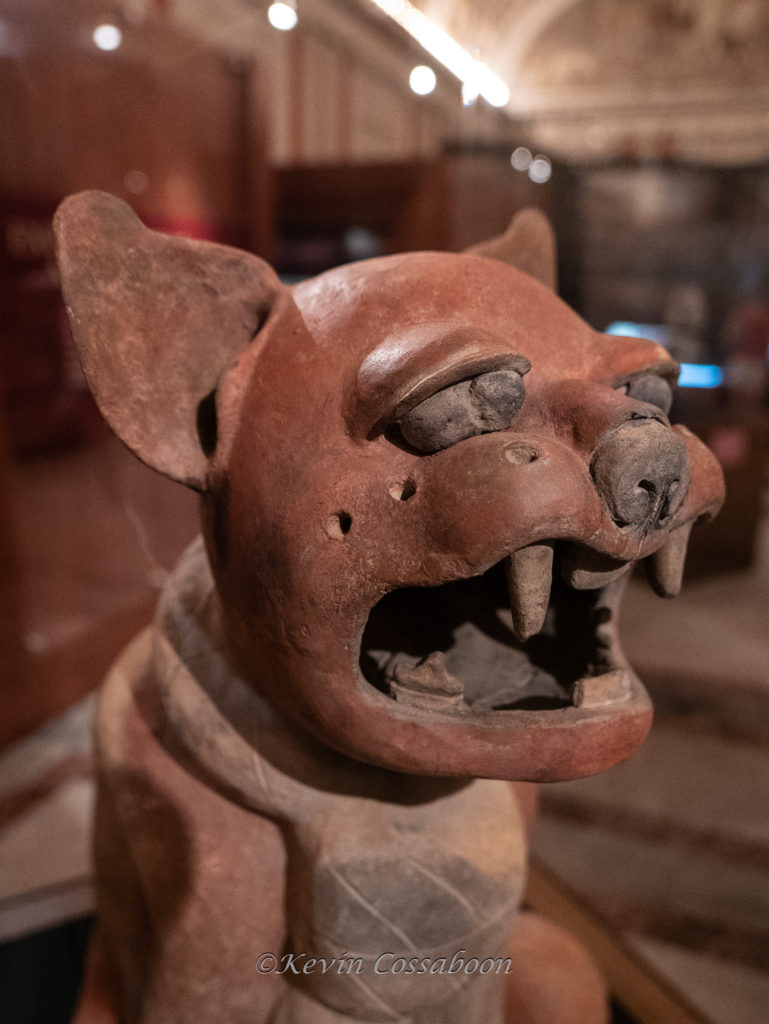 an exhibit in the Library of Congress