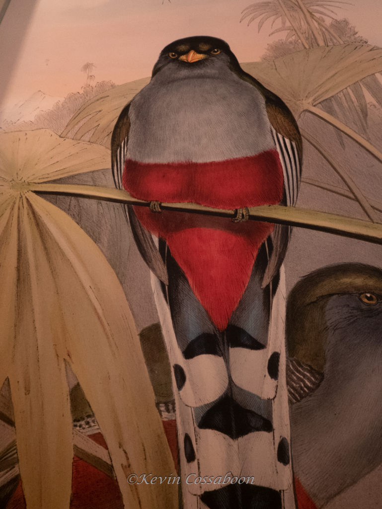 an exhibit in the Library of Congress