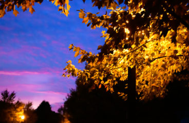 Morning Sky and the Street Light – Have you adjusted colour in this?