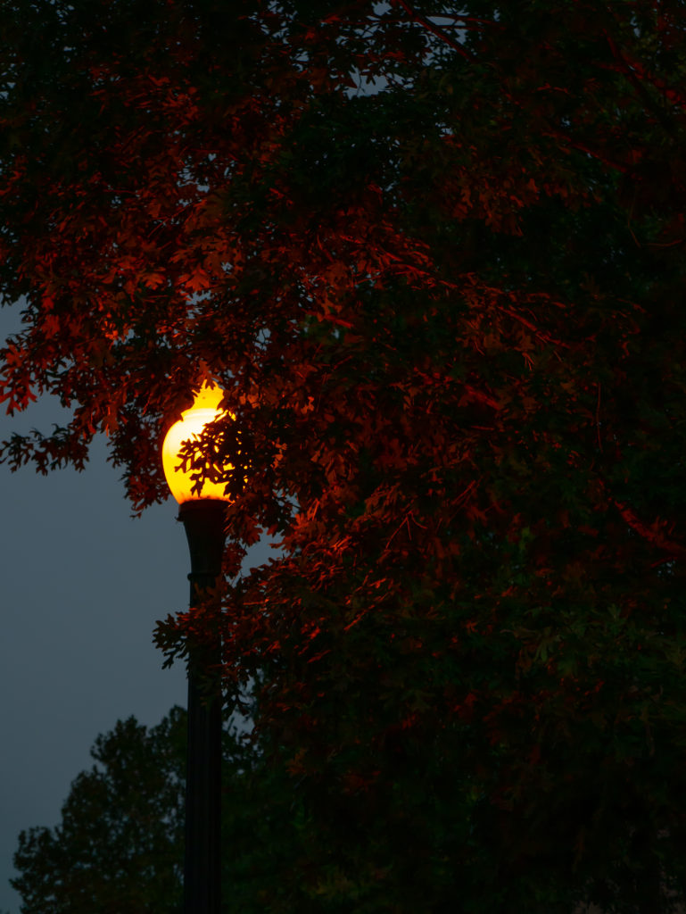 Morning Streetlight