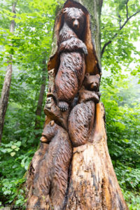 Bears Den