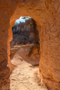 Bryce Canyon / Peekaboo Canyon Trail