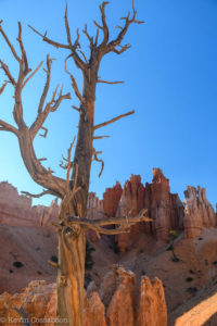 Bryce Canyon / Peekaboo Canyon Trail