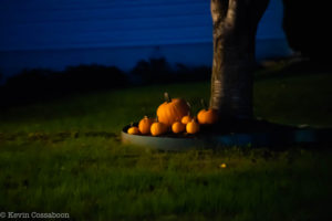 little punkin patch