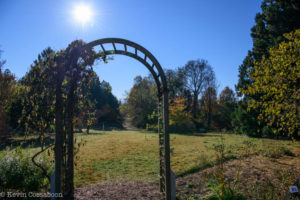 State Arboretum of Virginia