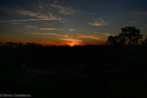Animal Kingdom Lodge