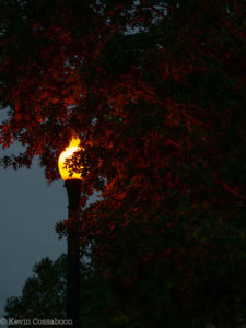 Morning Streetlight