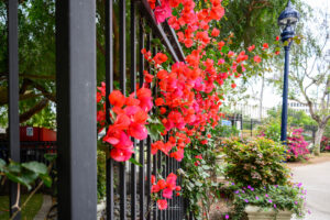 Photo taken by .