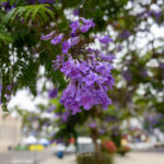 Photo taken by .