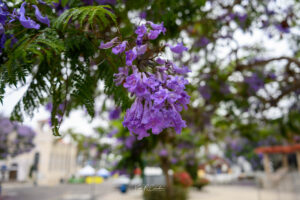 Photo taken by .