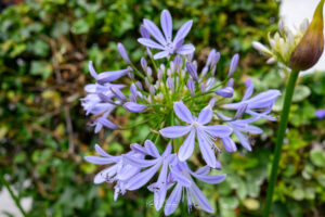 Photo taken by .