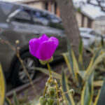 Photo taken by .