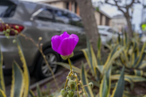 Photo taken by .