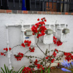 Photo taken by .