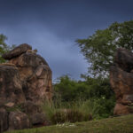 Photo taken by .