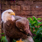 Photo taken by .