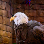 Photo taken by .