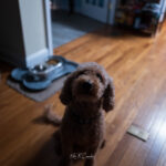 Photo taken by .