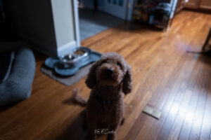 Photo taken by .