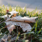 Photo taken by .